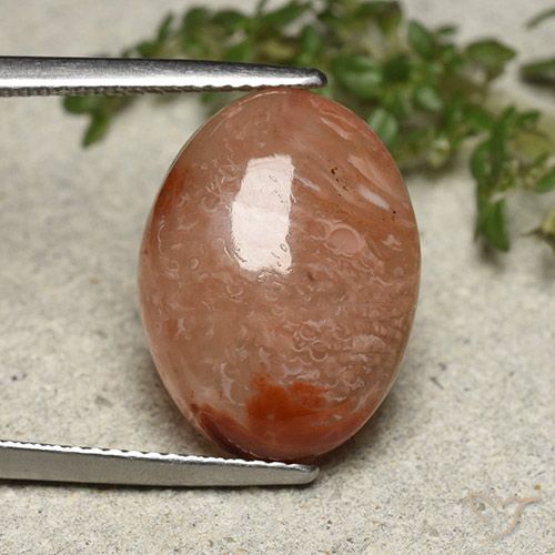 10.75ct Natural Multicolor Coral, Oval, Translucent, Photo A