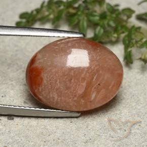 10.75 ct Multicolor Coral Stone, Natural Coral in Oval Cabochon Shape for Sale