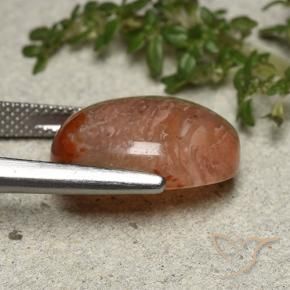 Coral Gemstone in 16.8 x 12.7 mm Size for Sale, Coral Stone in Multicolor Color