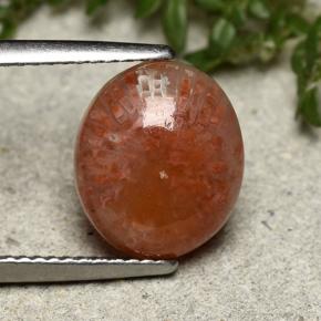 3.9ct Oval Cabochon Multicolor Coral Gem for sale 3.9ct Oval Cabochon Multicolor Coral Gem (ID: 492416)