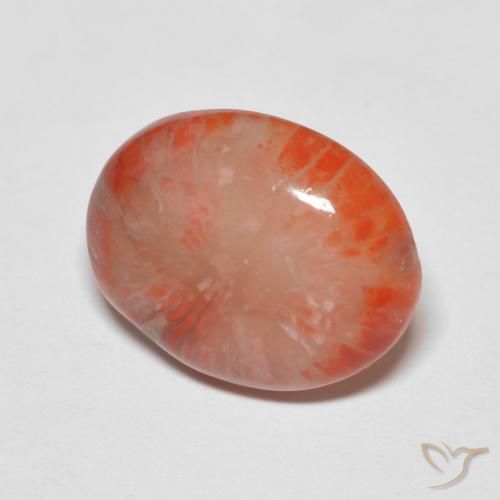 4.60 ct Multicolor Coral Stone, Natural Coral in Oval Cabochon Shape for Sale