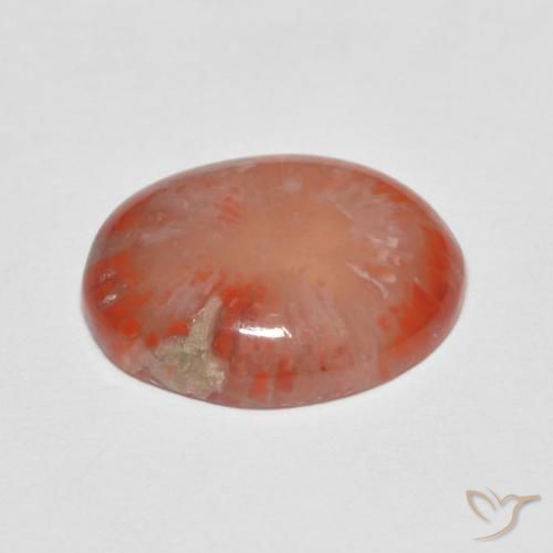 Coral Gemstone in 14.1 x 11 mm Size for Sale, Coral Stone in Multicolor Color