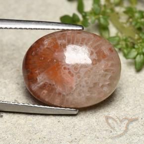 10.15 ct Multicolor Coral Stone, Natural Coral in Oval Cabochon Shape for Sale