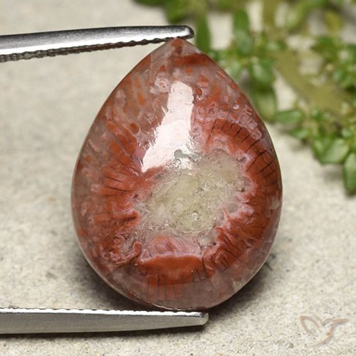 11.90ct Natural Multicolor Coral, Pear Shape, Opaque, Photo A