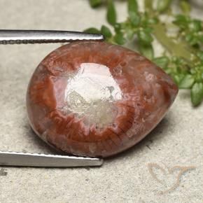 11.90 ct Multicolor Coral Stone, Natural Coral in Pear Cabochon Shape for Sale