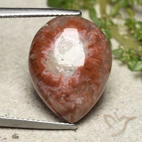 Coral Gemstone in 19 x 14.7 mm Size for Sale, Coral Stone in Multicolor Color