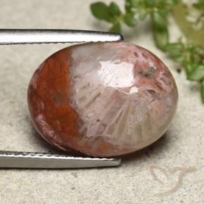 8.65 ct Multicolor Coral Stone, Natural Coral in Oval Cabochon Shape for Sale
