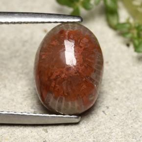 4.83 ct Multicolor Coral Gemstone, Coral Gem in Oval Cabochon Shape for Sale.