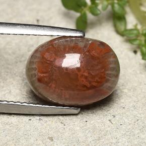 4.83 ct Multicolor Coral Stone, Natural Coral in Oval Cabochon Shape for Sale