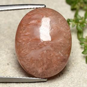 16.05 ct Multicolor Coral Gemstone, Coral Gem in Oval Cabochon Shape for Sale.