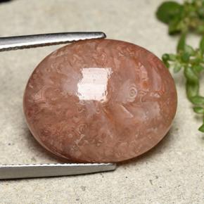 16.05 ct Multicolor Coral Stone, Natural Coral in Oval Cabochon Shape for Sale