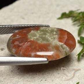 Coral Gemstone in 20 x 15 mm (calibrated) Size for Sale, Coral Stone in Multicolor Color