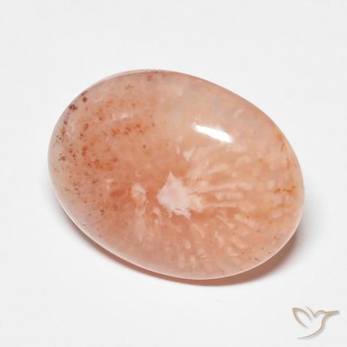 9.34 ct Multicolor Coral Stone, Natural Coral in Oval Cabochon Shape for Sale