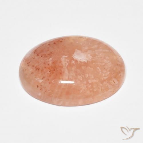 Coral Gemstone in 17.7 x 14 mm Size for Sale, Coral Stone in Multicolor Color