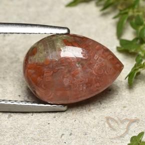 4.69 ct Multicolor Coral Stone, Natural Coral in Pear Cabochon Shape for Sale