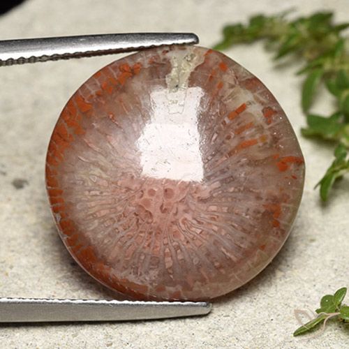 14.05 ct Round Coral, 19.5 mm From Indonesia, Photo A