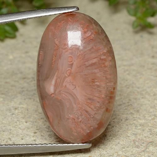 14.86ct Natural Multicolor Coral, Oval, Translucent
