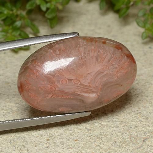 14.86 ct Multicolor Coral Stone, Natural Coral in Oval Cabochon Shape for Sale