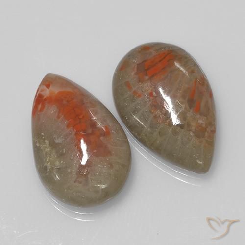9.70 ctw Multicolor Coral Stones, Natural Coral in Pear Cabochon Shape for Sale