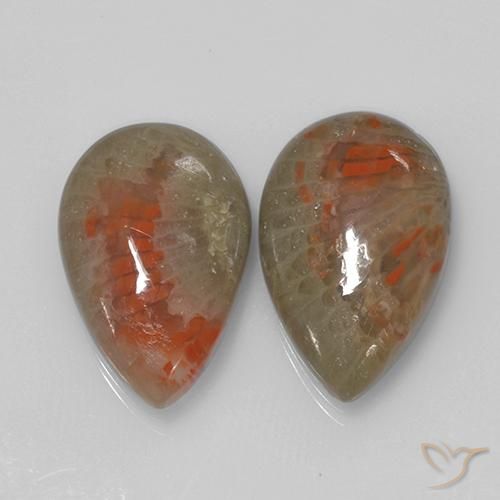 Coral Gemstones in 16.1 x 10.4 mm Size for Sale, Coral Stones in Multicolor Color