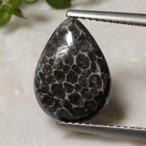 2.93 ct Multicolor Coral Gemstone, Coral Gem in Pear Cabochon Shape for Sale.