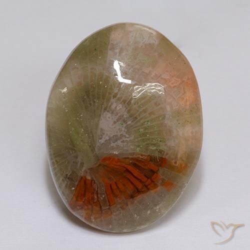 16.14 ct Multicolor Coral Stone, Natural Coral in Oval Cabochon Shape for Sale