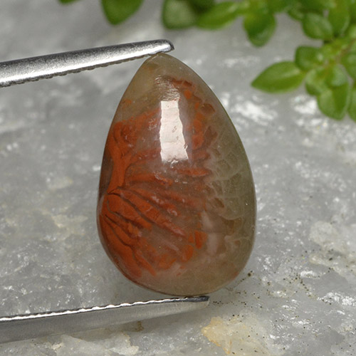 Mehrfarbig Koralle Edelstein - 4.2ct Birnen Cabochon (ID: 494694)