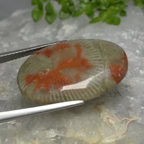 Coral Gemstone in 25 x 17.2 mm Size for Sale, Coral Stone in Multicolor Color
