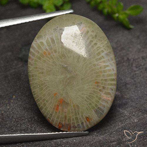 17.31ct Natural Multicolor Coral, Oval, Translucent