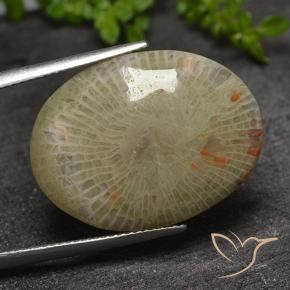 17.31 ct Multicolor Coral Stone, Natural Coral in Oval Cabochon Shape for Sale