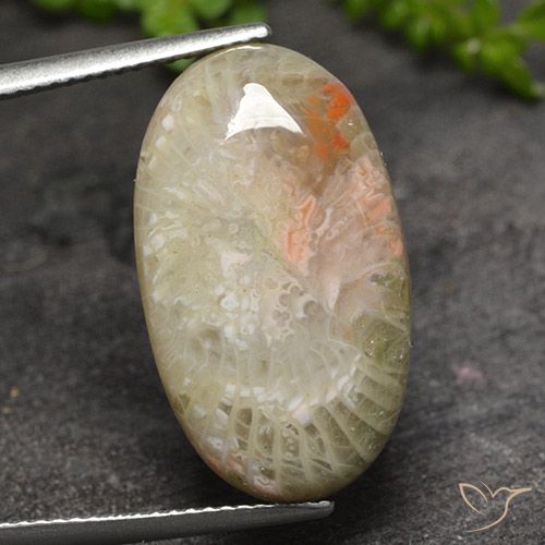 11.82ct Natural Multicolor Coral, Oval, Translucent