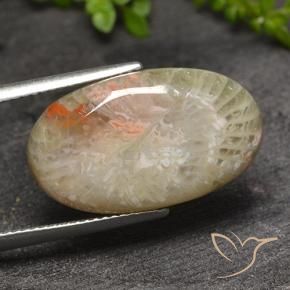 11.82 ct Multicolor Coral Stone, Natural Coral in Oval Cabochon Shape for Sale