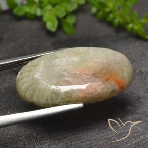 Coral Gemstone in 22.2 x 12.9 mm Size for Sale, Coral Stone in Multicolor Color
