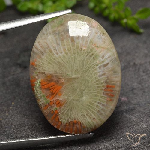 15.10ct Natural Multicolor Coral, Oval, Translucent, Photo A