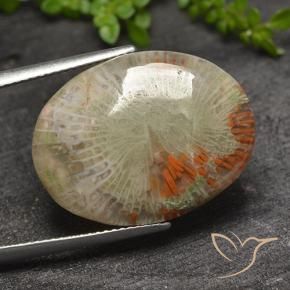 15.10 ct Multicolor Coral Stone, Natural Coral in Oval Cabochon Shape for Sale