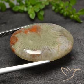 Coral Gemstone in 23.6 x 18.1 mm Size for Sale, Coral Stone in Multicolor Color