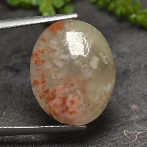 Multicolor Coral Gem - 9.4ct Oval Cabochon (ID: 494701)