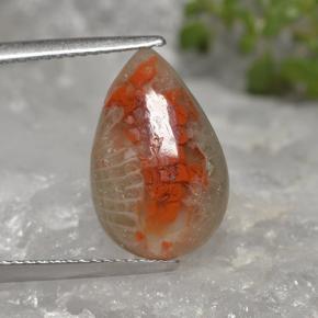 4ct Pear Cabochon Multicolor Coral for sale thumb image of 4ct Pear Cabochon Multicolor Coral (ID: 494738)