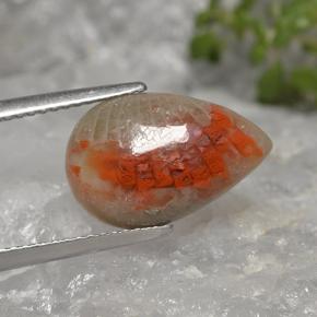 4.02 ct Multicolor Coral Stone, Natural Coral in Pear Cabochon Shape for Sale