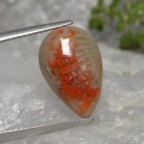 Coral Gemstone in 15 x 10 mm (calibrated) Size for Sale, Coral Stone in Multicolor Color