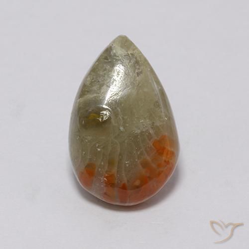3.72ct Natural Multicolor Coral, Pear Shape, Opaque
