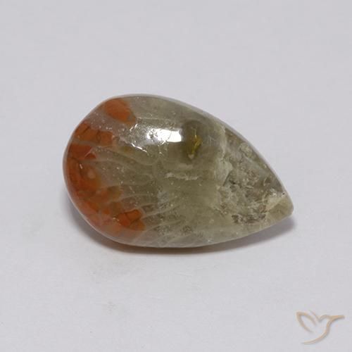 3.72 ct Multicolor Coral Stone, Natural Coral in Pear Cabochon Shape for Sale