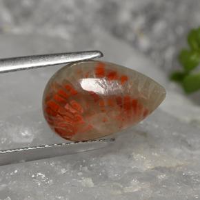 2.84 ct Multicolor Coral Stone, Natural Coral in Pear Cabochon Shape for Sale