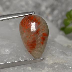 Coral Gemstone in 12.5 x 8 mm Size for Sale, Coral Stone in Multicolor Color