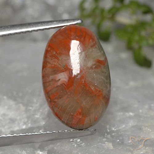 5.96 ct Oval Coral, 15.1 x 9.8 mm From Indonesia, Photo A