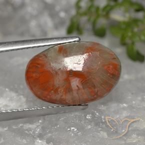 5.96 ct Multicolor Coral Stone, Natural Coral in Oval Cabochon Shape for Sale