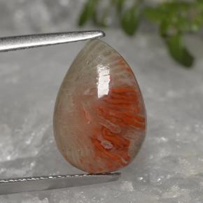 3.2ct Pear Cabochon Multicolor Coral Gem for sale 3.2ct Pear Cabochon Multicolor Coral Gem (ID: 494748)