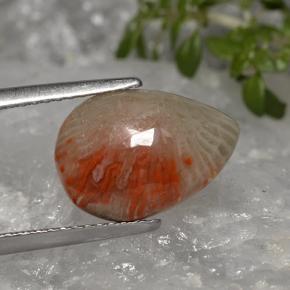 3.19 ct Multicolor Coral Stone, Natural Coral in Pear Cabochon Shape for Sale