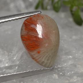 Coral Gemstone in 13 x 9 mm (calibrated) Size for Sale, Coral Stone in Multicolor Color