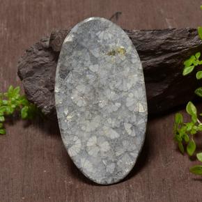 Coral Gemstone in 45.6 x 25.8 mm Size for Sale, Coral Stone in Multicolor Color